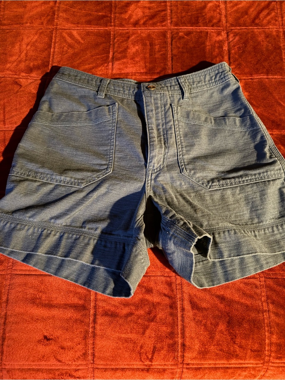Patagonia Women’s Organic Cotton Shorts Blue Size 8 4” Inseam